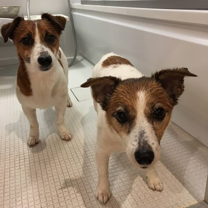 7a4894a3 8db5 4d1e 89bf c764e246b7a9 1508246785884