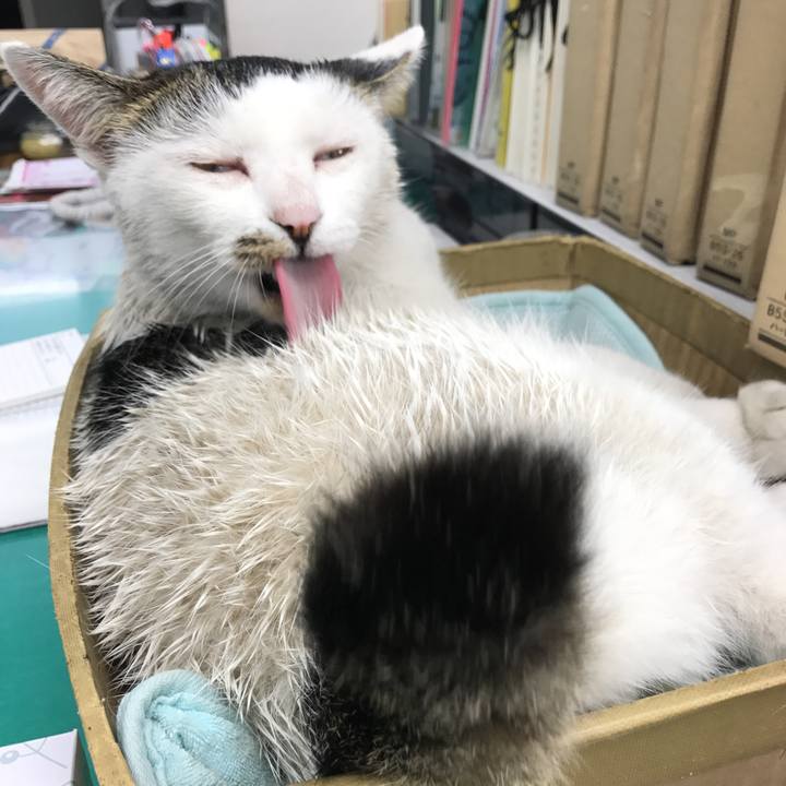 7a489804 34b4 41d1 b702 64440d7ff323 1512966995630