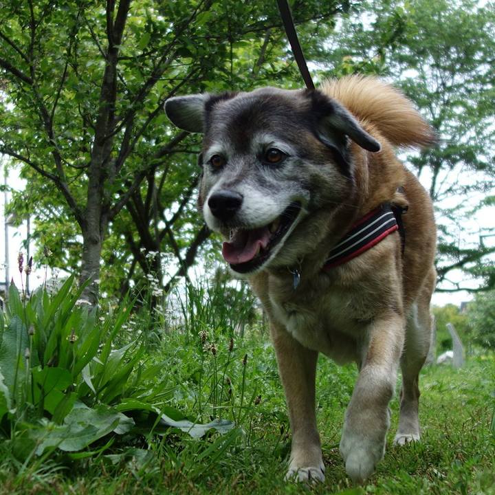 7a48b166 2b54 410b 9a00 0eae1bf31225 1667870781537