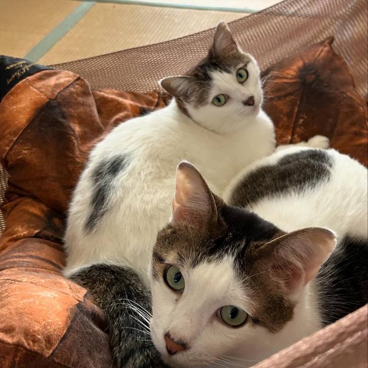 7a493216 9d07 4c8f 9f42 d97c849f4c72 1715662367913