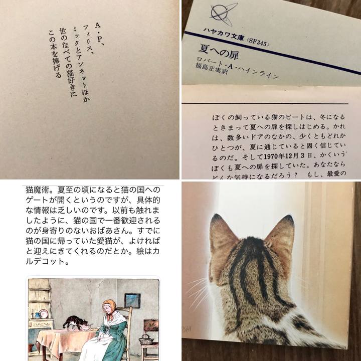 7a49326f ba62 4155 950b 31907a853170 1560306886157