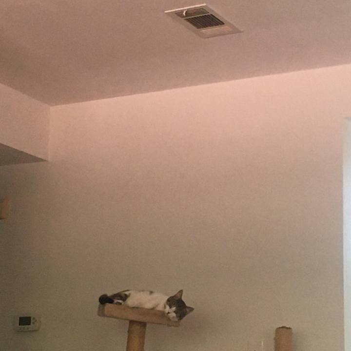 7a494187 4ef0 4890 bc6c f78cb55b60a8 1660090461736