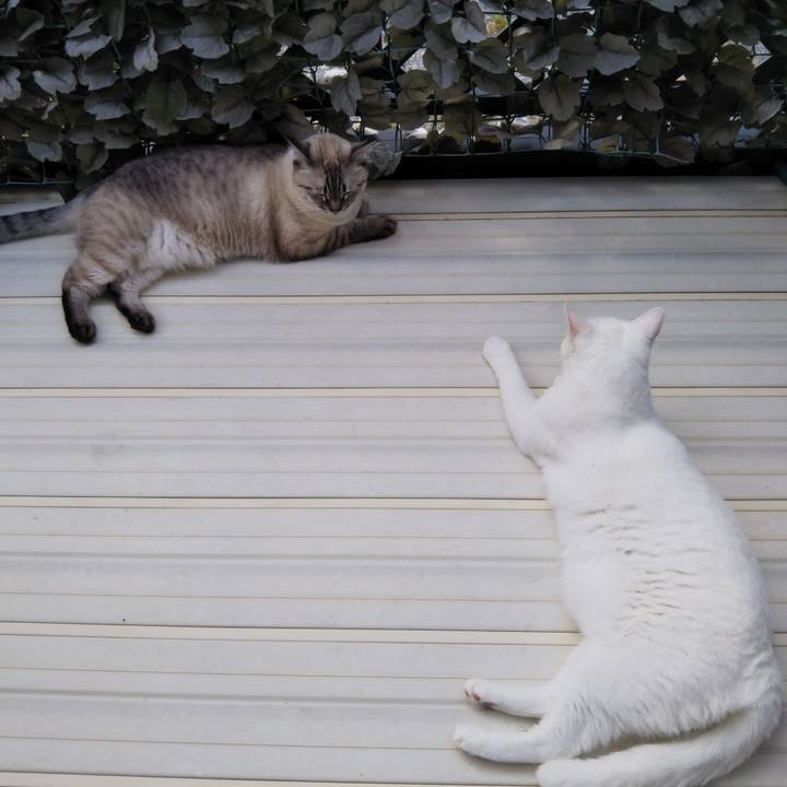 7a49433e e806 42d8 b103 4dc95dc8f295 1537578069760