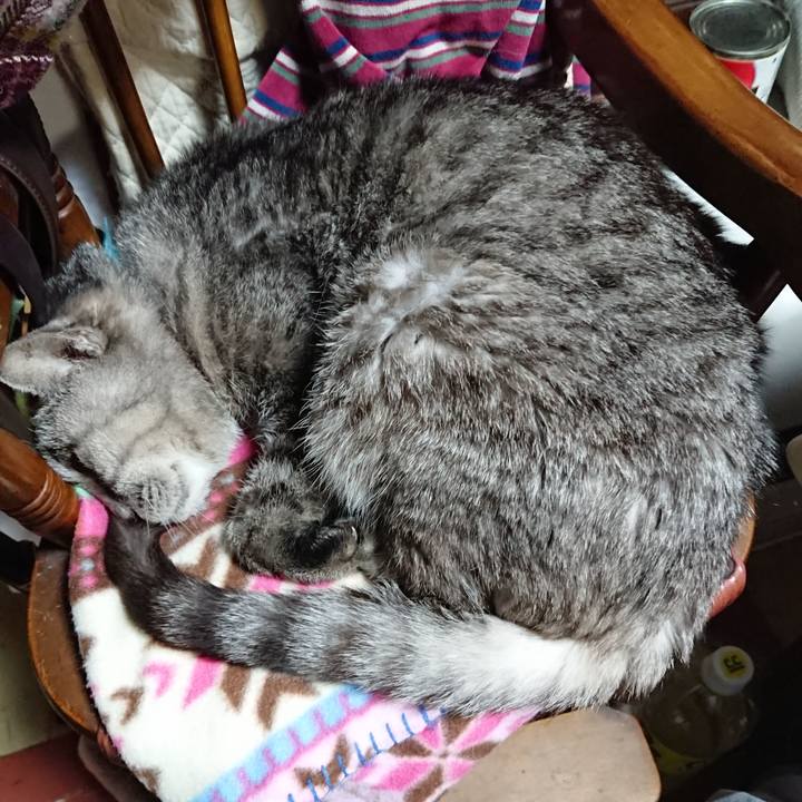 7a4969ba 7b06 4664 a8f5 0695e8862661 1573557052184