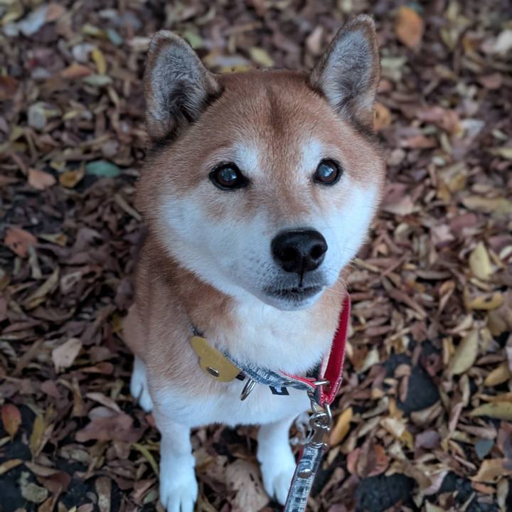 7a497467 7daf 4396 8565 d8d2fbd9bcfe 1733569000510