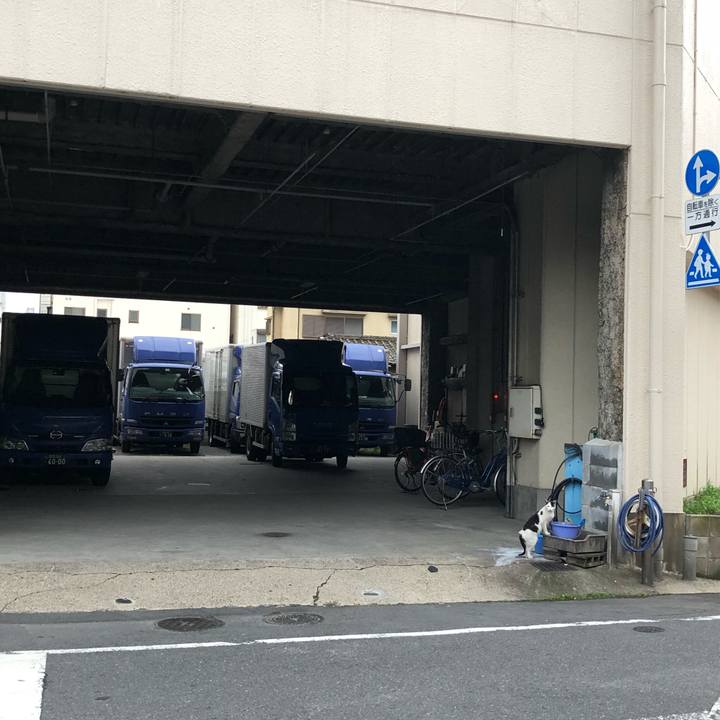 7a49cd3b 5802 4c30 b31d 2f9bfd6d1177 1529261828354