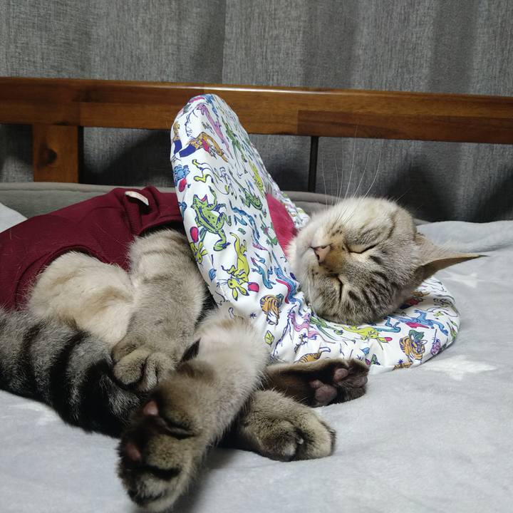 7a4a2c61 0536 4dd4 866c f3d2203e8fc0 1738235281293