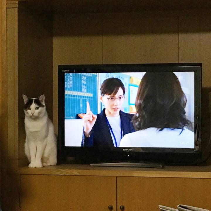 7a4a7d44 a09d 4790 940b d11e4ea3e505 1532622777542