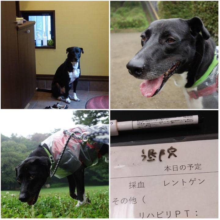 7a4aad68 fcc6 4475 b4c0 2ddc5986eed7 1625612744514