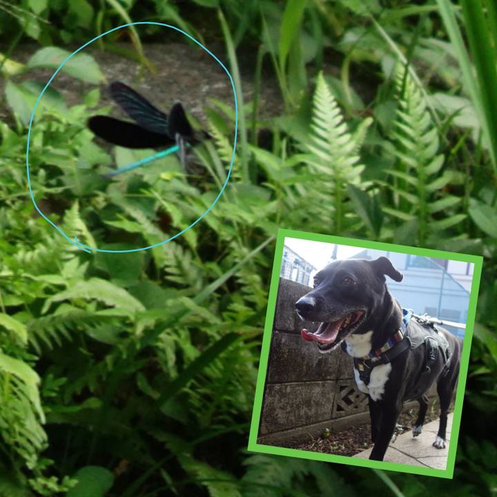 7a4b0342 0251 481c a008 d42416b335e1 1659227104282