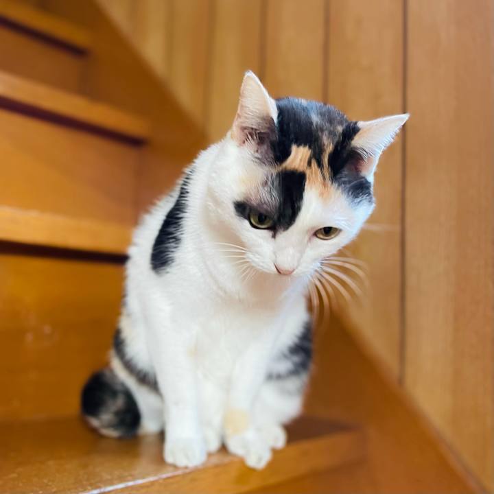 7a4b32a5 ca4a 4c20 9cf4 c92b54dd9904 1639712899080