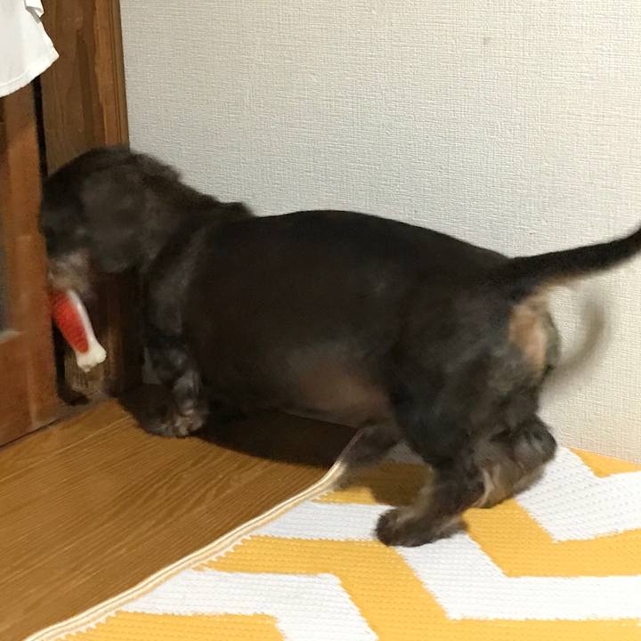 7a4b3521 94c9 4730 a0f9 9700505a93f2 1527695634745