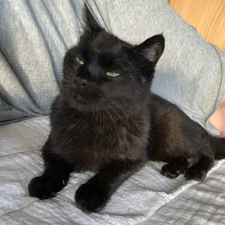 7a4b6c5c 9d9f 4dbc 9b5a a0e38a90fb15 1597276135486