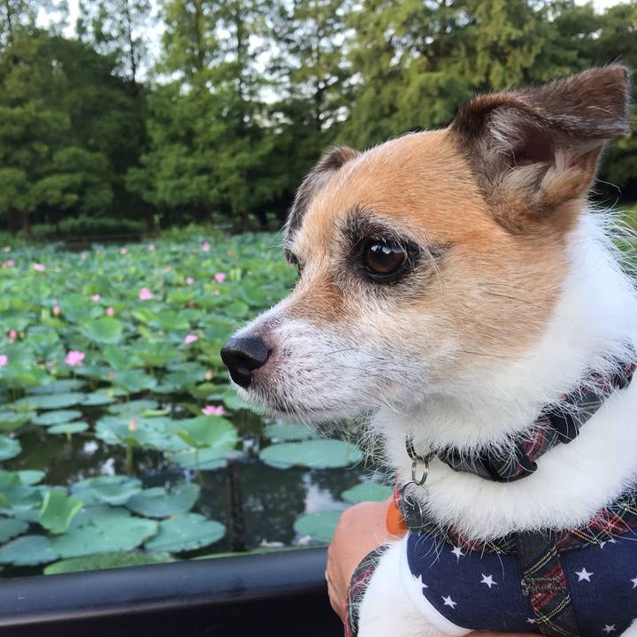 7a4b8262 2c36 40d0 a539 8e145979b32e 1566000798093