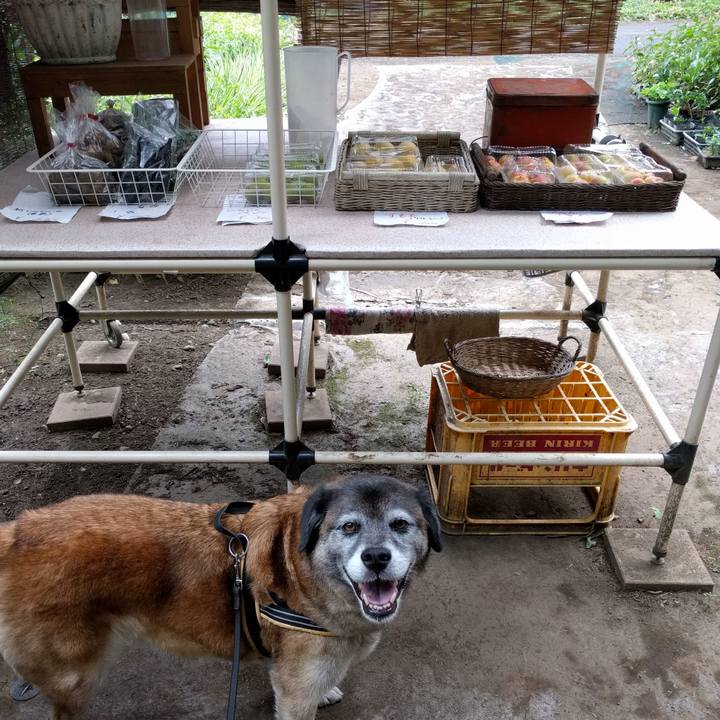 7a4b9a4a a9f7 4943 97ab 315f1e045df0 1530660561304