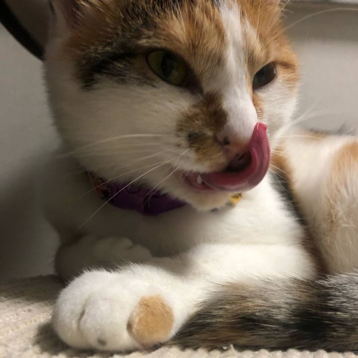 7a4bada4 f908 4ba6 8e47 abd44c3fb76b 1604136815390