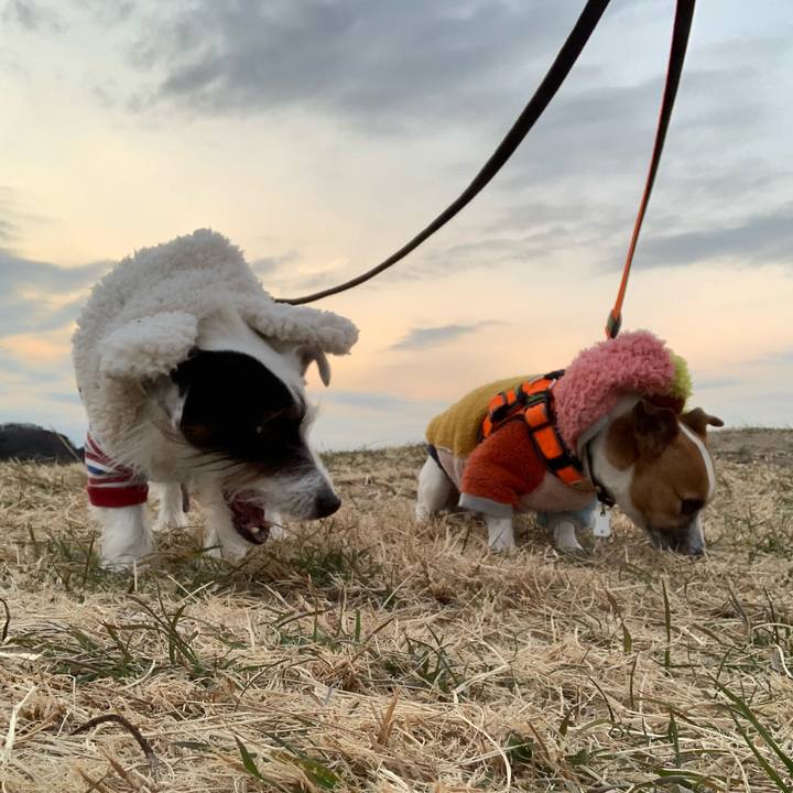 7a4bd9e6 2b1a 450c 82fe 6a02161e70a9 1548405853154