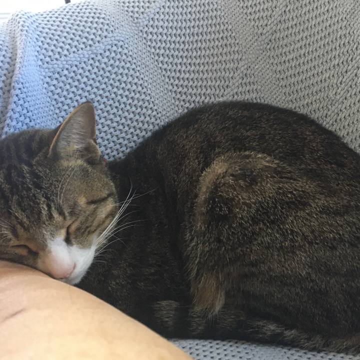 7a4bdb7c 0339 4e74 b69e 42e887604864 1659741281221