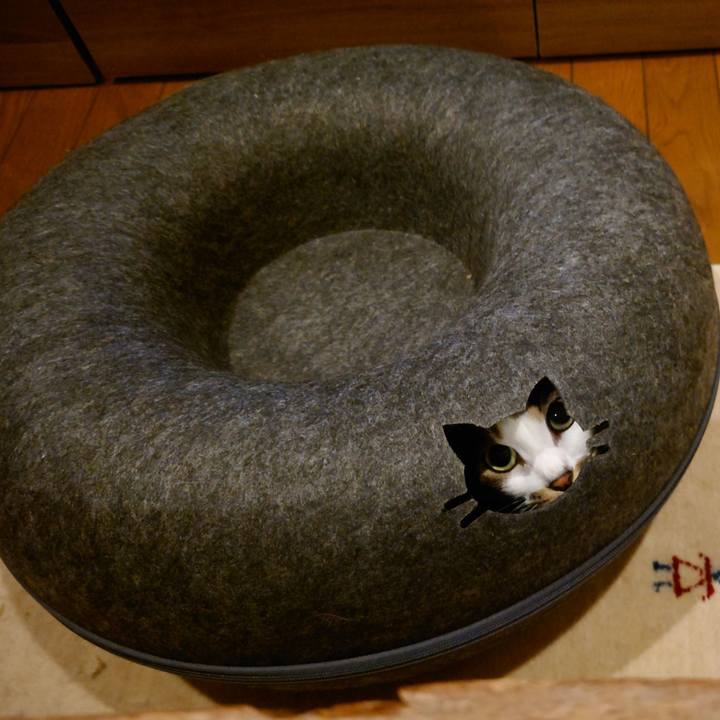 7a4c498c 82f0 4282 8bf0 66d7b98c0adf 1749562097510