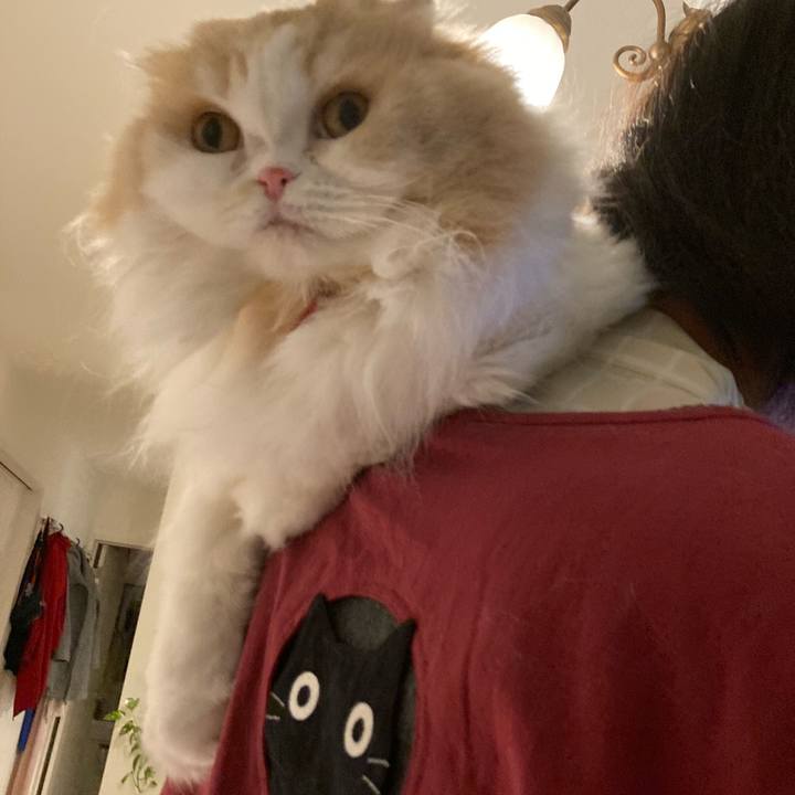 7a4c6153 d78d 413f 9eba a68757ca6ebf 1615984562056