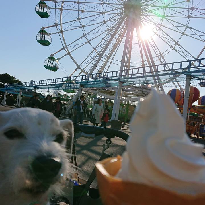 7a4c6b7b 2830 4e43 90e4 da1f0b451c17 1553554205504