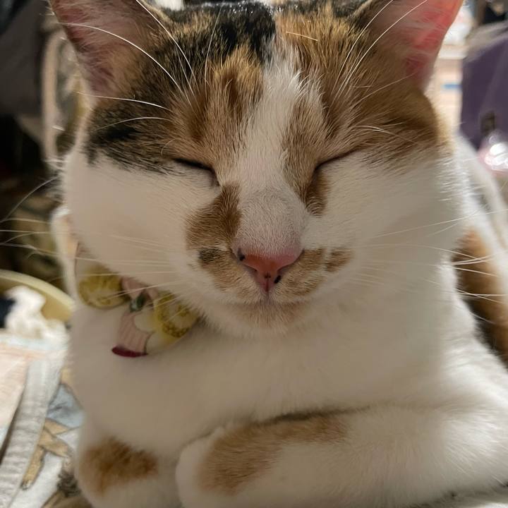 7a4c97f1 cbfa 40cb b105 49a9a82b50d3 1640098504668