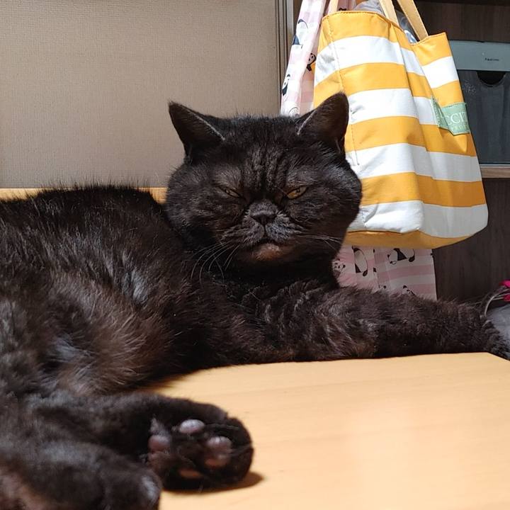 7a4cae46 69ac 45ab b89e 1d22d81c644f 1642232374267