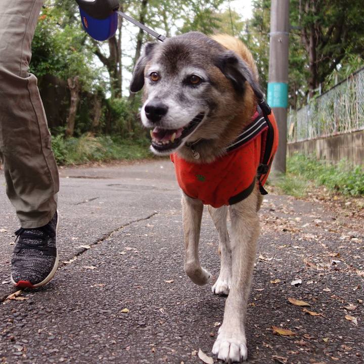 7a4cd2d6 f500 4117 8bd8 c35b29c47c9f 1571619877149