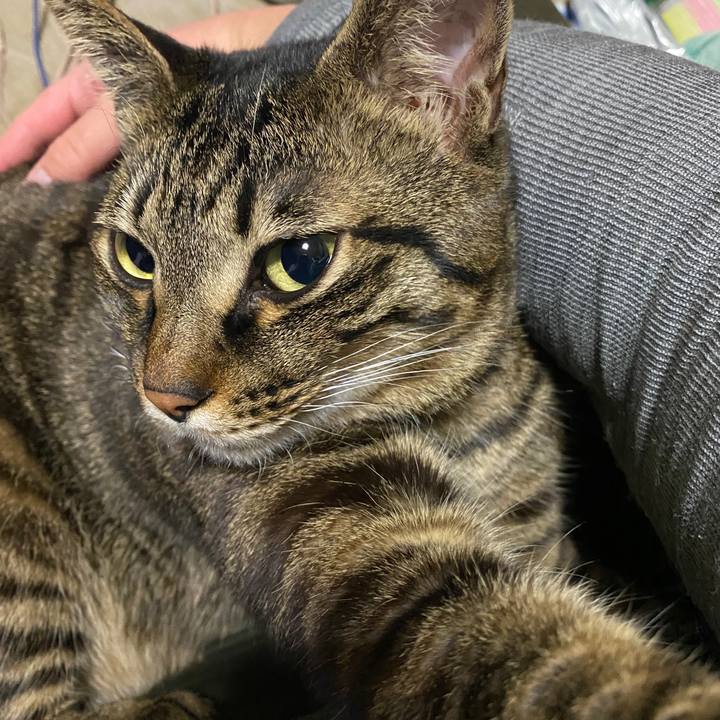 7a4ce809 567b 4379 b3fd 14b9f217ca67 1647620873065