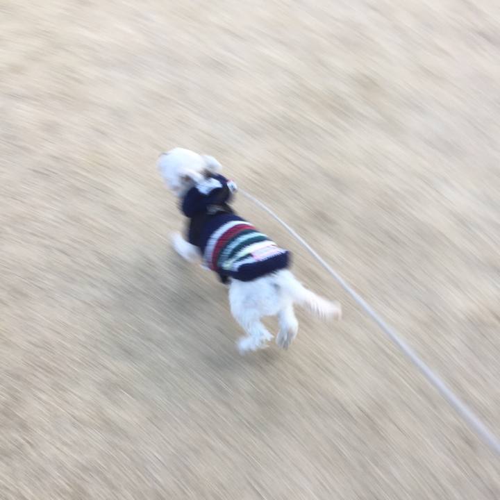 7a4d5fb9 1bed 4015 8fa5 a80d133d4c4b 1514972287350