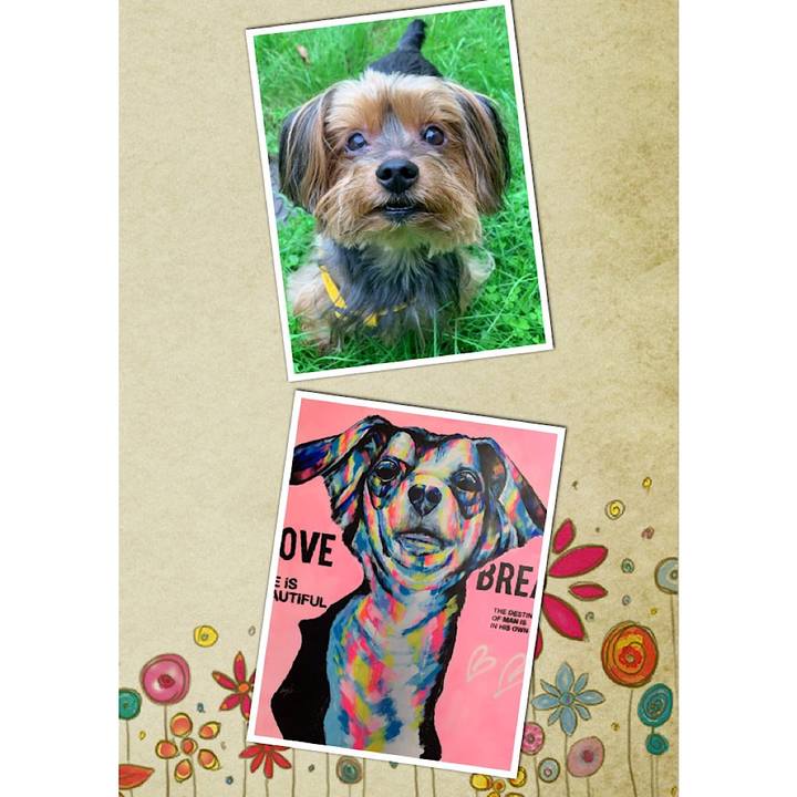 7a4d658b a931 462c b477 2bb91886ee69 1614309945028