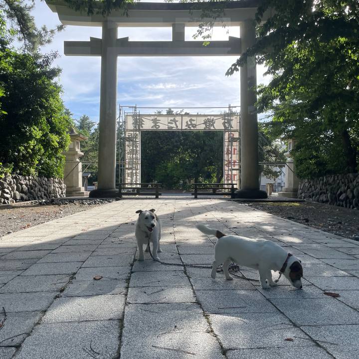 7a4d92c5 6ef1 47c4 b0ad ea3fe90304ac 1752793146227