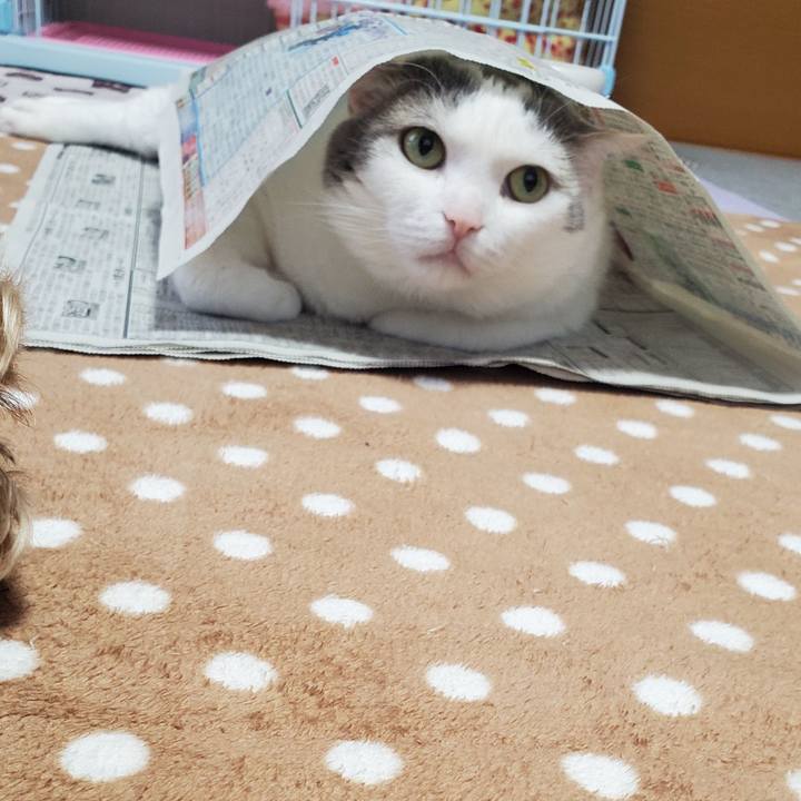 7a4d93f2 90d8 41b1 99a2 68a3d34fb57d 1608438565360