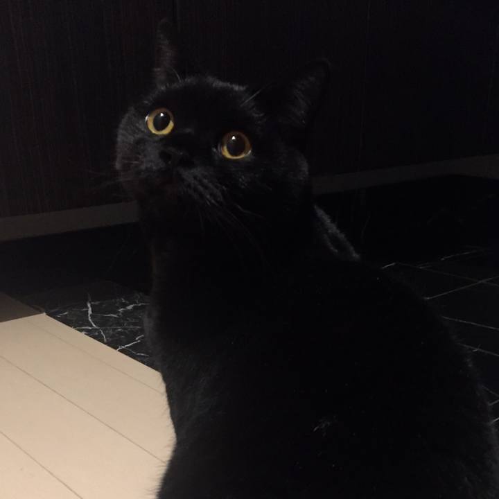 7a4da299 8ac1 4d1f 806a cb34e8a7cd35 1547040052641