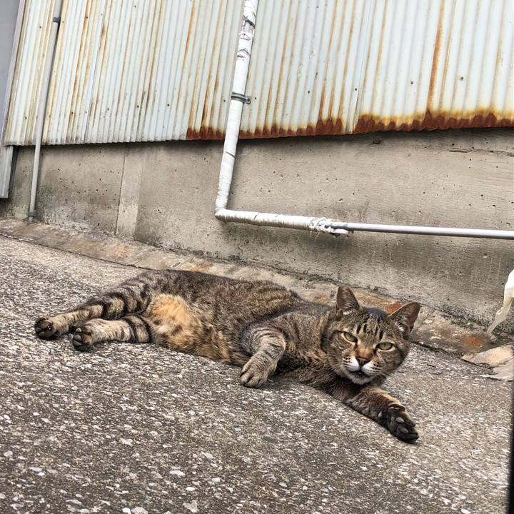 7a4daa37 5a42 4a82 9341 89a8016c6732 1656520729499