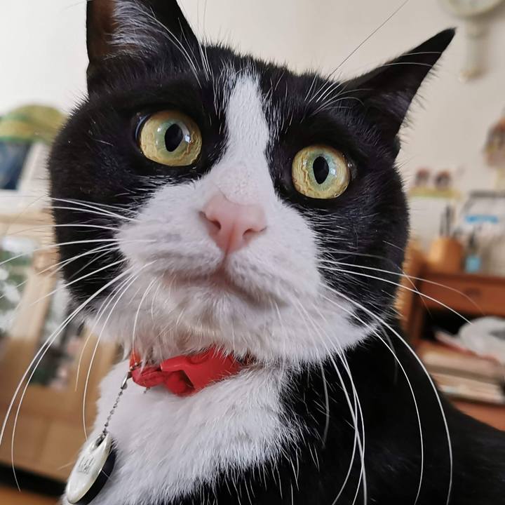 7a4dd986 2970 4215 88b1 3766df22f0fd 1681883361311