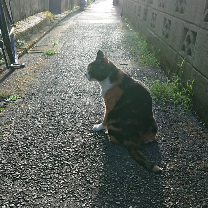 7a4e107d 15f9 46a7 827a 86c9b233c348 1658911363303