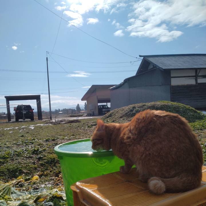 7a4e1461 e83e 4f46 a118 9ff4bdbee738 1703993485161