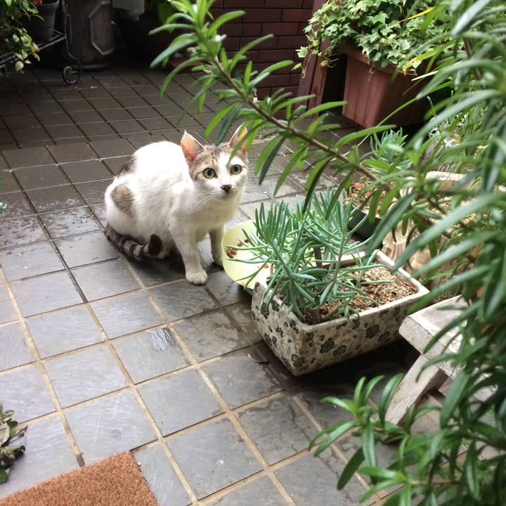 7a4e2952 e229 453c ad18 1a22154d24d4 1562833539818