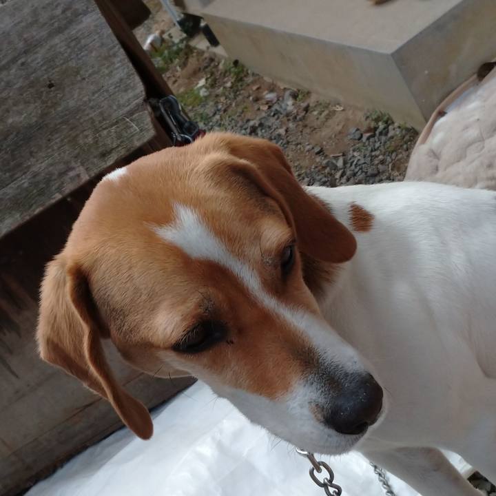 7a4e4617 e79d 4ada b05f fb890f4e7702 1584344217532