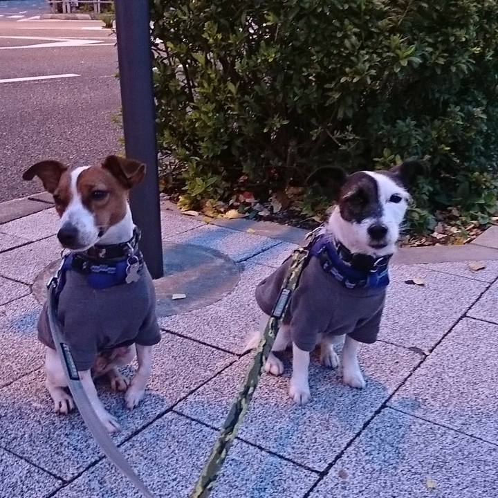 7a4e71f1 437b 4201 a554 48e99f1493ac 1543699173772