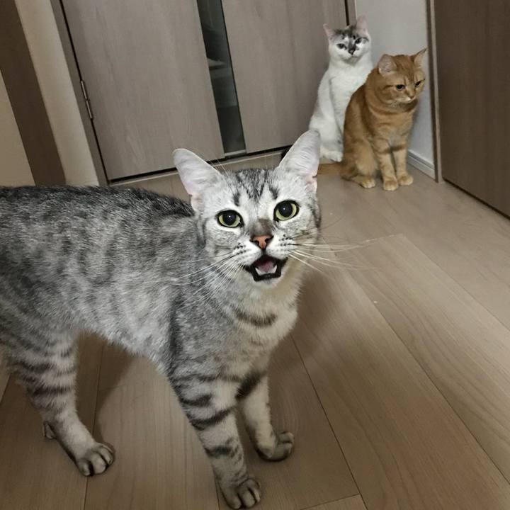 7a4e8fee c006 4316 aa3a 9c4c1613c76b 1528636365912