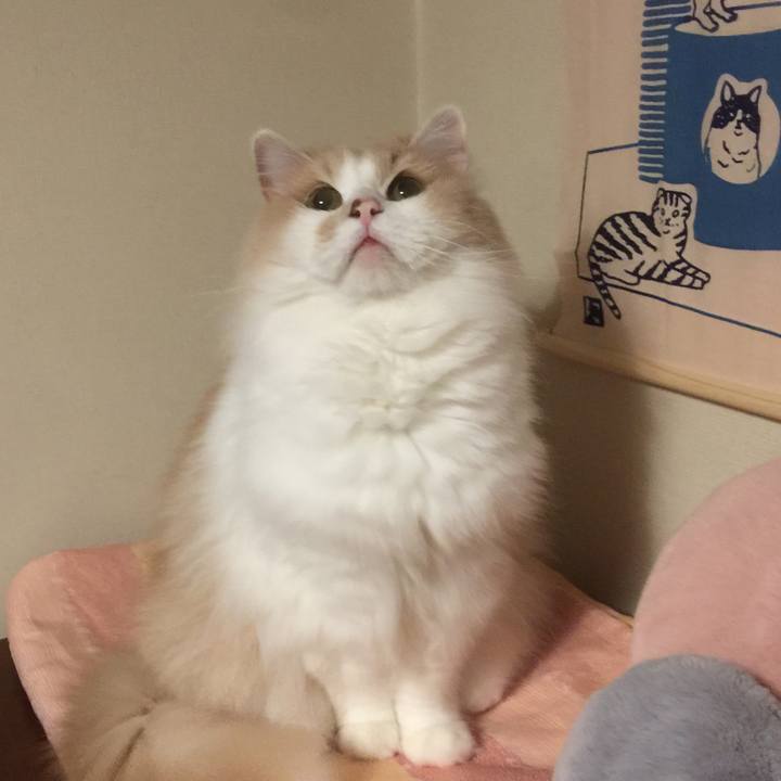 7a4eb670 ddab 445a 8628 fe3c9fb8a1df 1562160893779