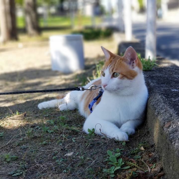 7a4edbb5 5ba8 4282 8d08 36f9c987528a 1538969190936