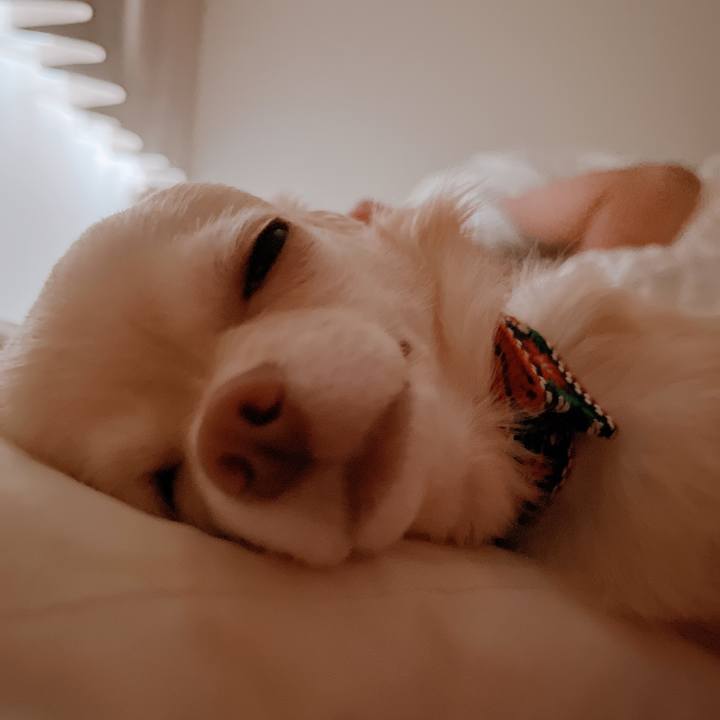 7a4efcf2 3a5f 4c20 ab40 c8f5eb1e6a91 1658833290431