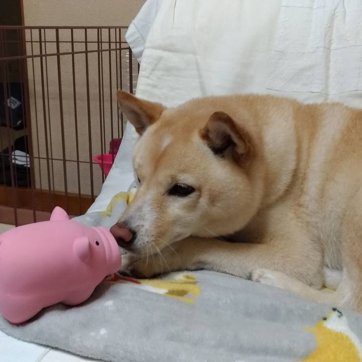 7a4f01ae ac13 488a a93d 17cc3c50ce0d 1607859129687