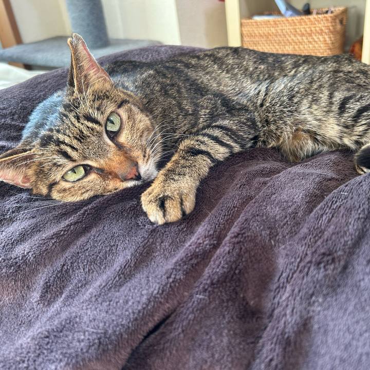 7a4f1053 0176 4afa aeb9 45a1bbec9a2c 1766833851388