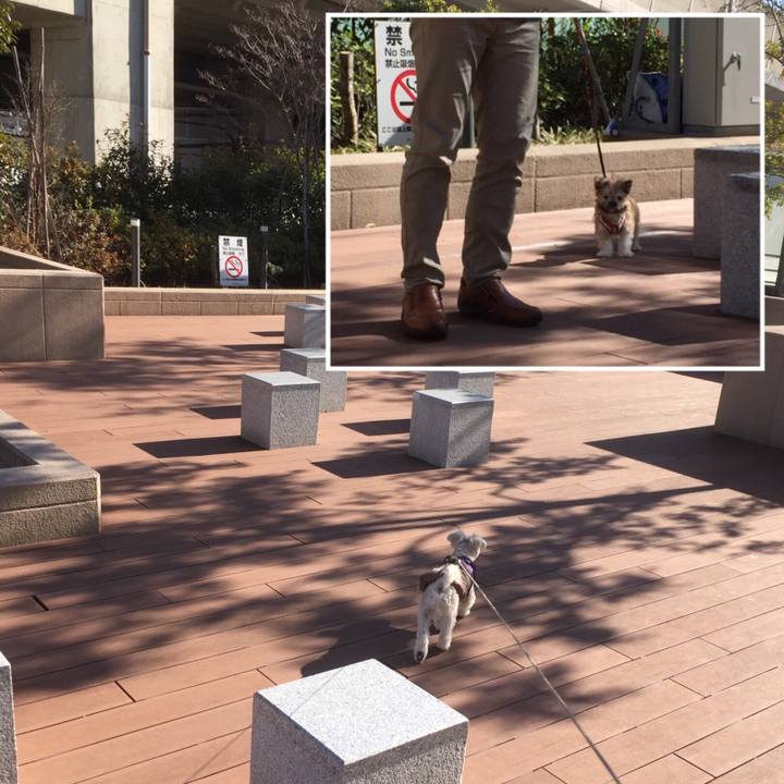 7a4f25e3 528c 4567 a4d3 eaded968ab10 1515238240668