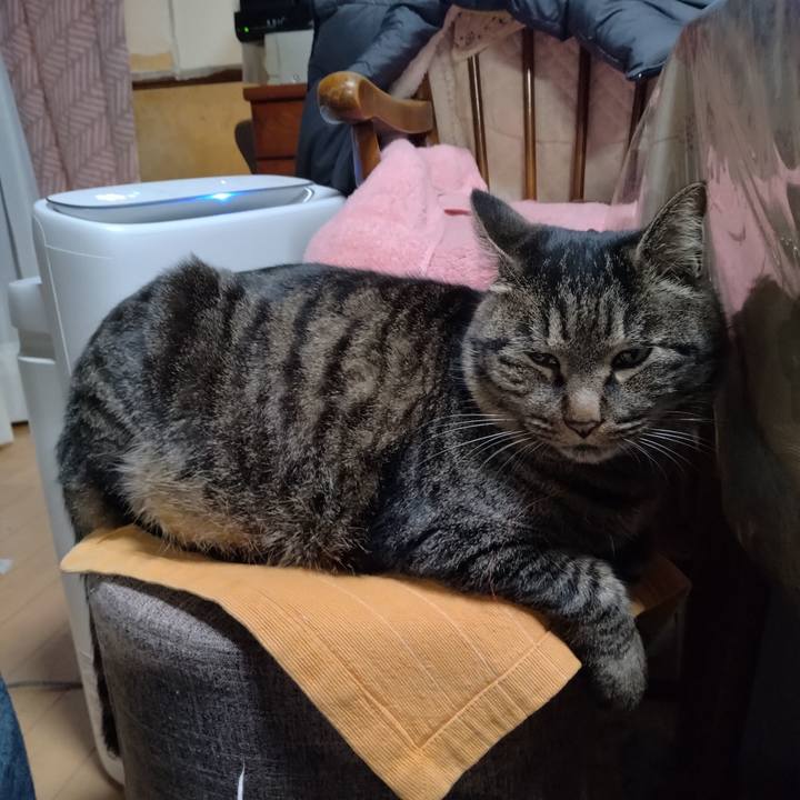 7a4f7cd2 897f 4f2a 918a bfdfa239cba7 1671877222499