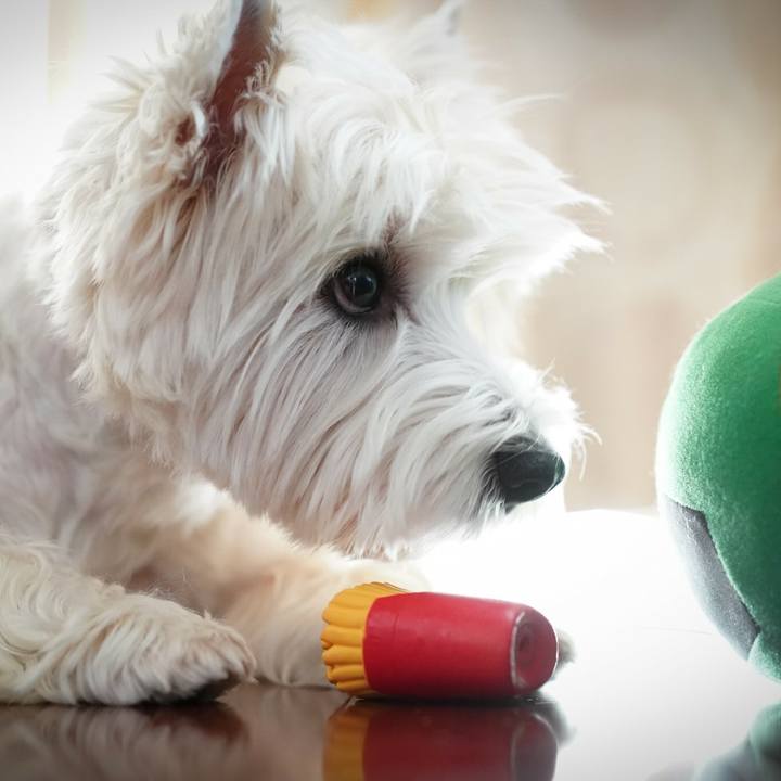 7a4fc2a6 ba37 44f5 a2f4 421bbcd5ab01 1535413492204